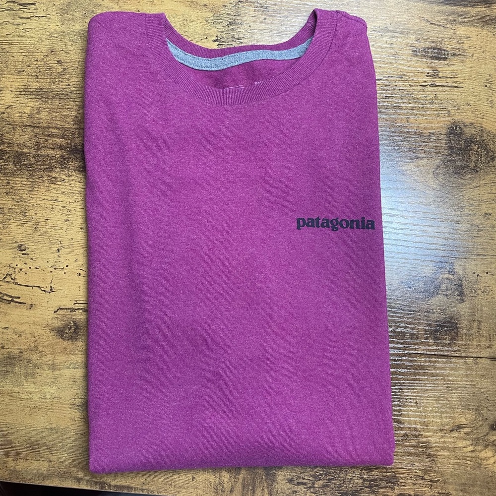 Patagonia T shirt Size Small/Medium